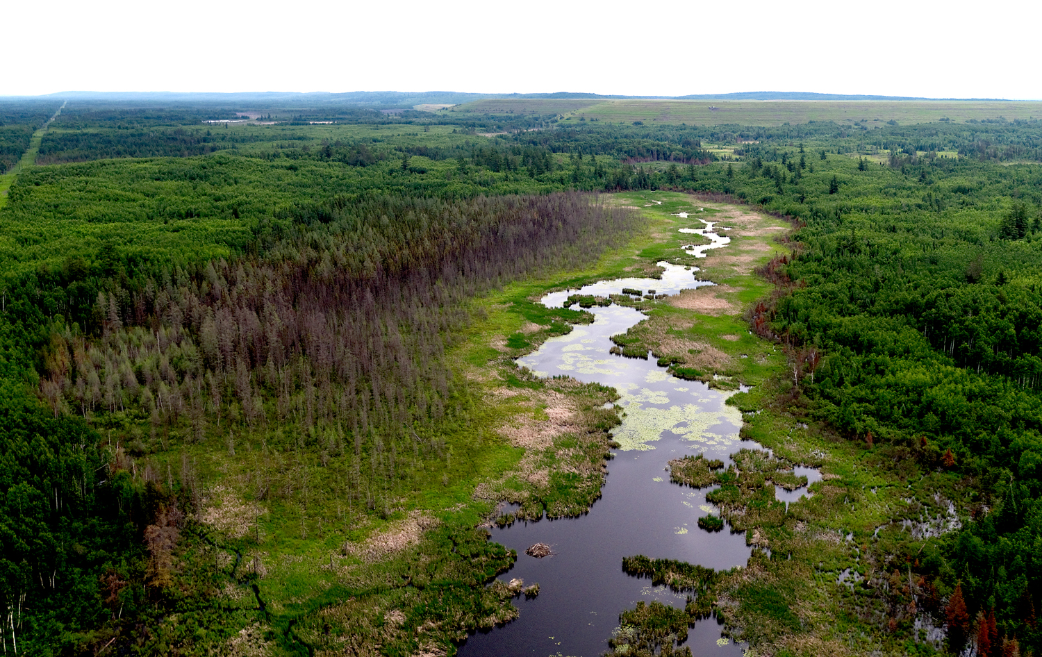 NW Corner of Polymet Tailings Basin NW Corner of Polymet Tailings Basin